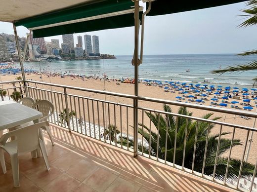 Apartamento - Benidorm, Provincia de Alicante