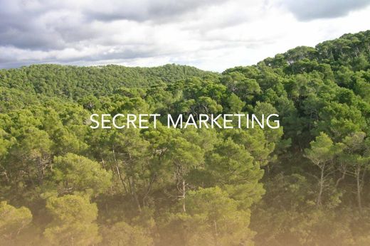 Rural or Farmhouse in Andratx, Province of Balearic Islands