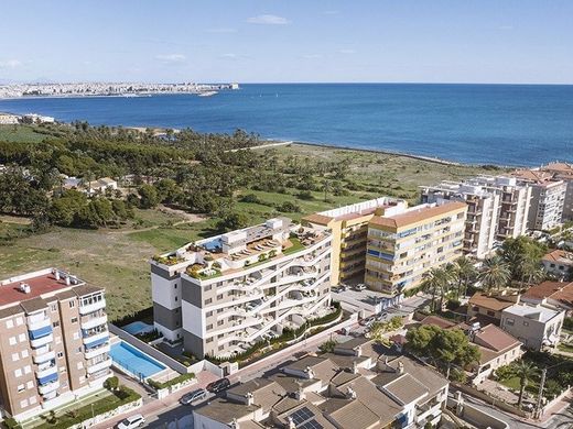 아파트 / Torrevieja, Provincia de Alicante