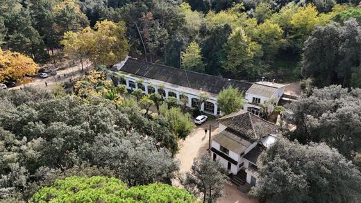 ﻣﻨﺰﻝ ﺭﻳﻔﻲ/ ﺑﻴﺖ ﻤﺰﺭﻋﺔ ﻓﻲ Arenys de Munt, Província de Barcelona