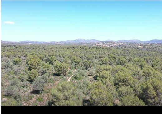 Land in Manacor, Province of Balearic Islands