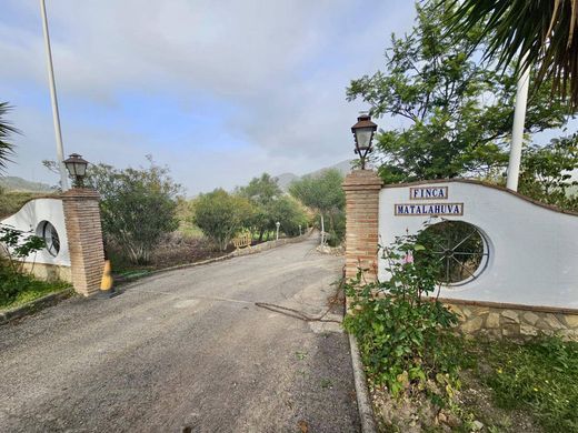 Olvera, カディスの土地