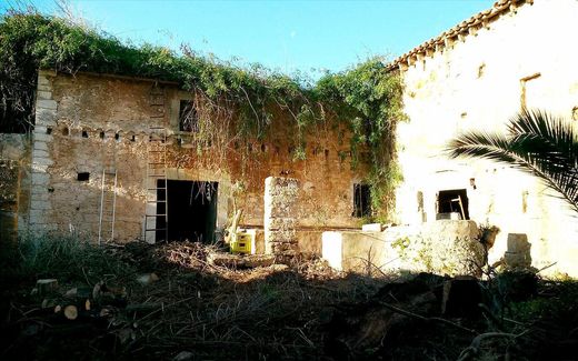 Land in Binissalem, Province of Balearic Islands