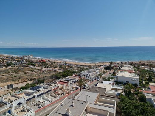 Apartamento - Torrevieja, Provincia de Alicante