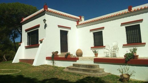 토지 / La Puebla del Río, Provincia de Sevilla