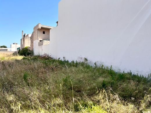 地皮  sa Pobla, Illes Balears