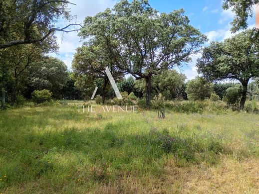 Land in Villanueva de la Cañada, Province of Madrid