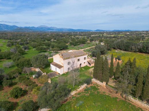 Sineu, Illes Balearsの高級住宅