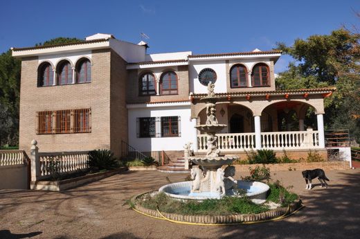 Dom jednorodzinny w Palomares del Río, Provincia de Sevilla