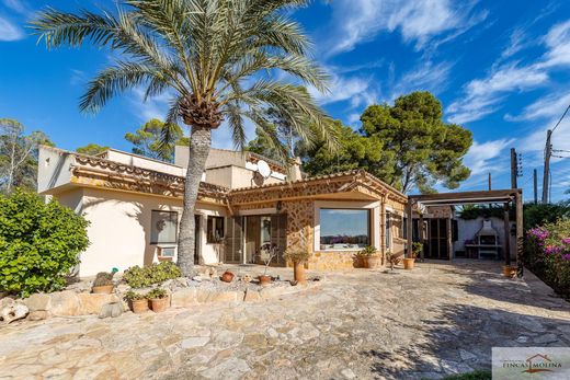 Detached House in ses Salines, Province of Balearic Islands