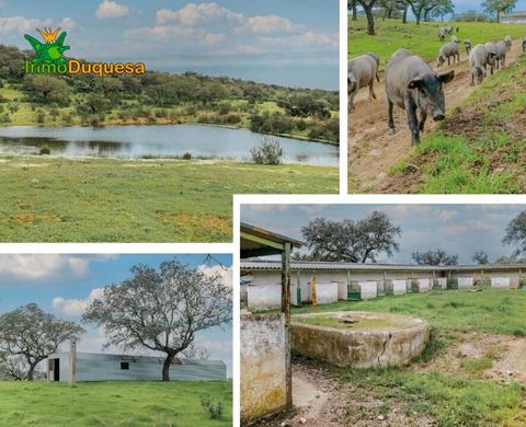 Rustik ya da çiftlik Puebla de Guzmán, Provincia de Huelva
