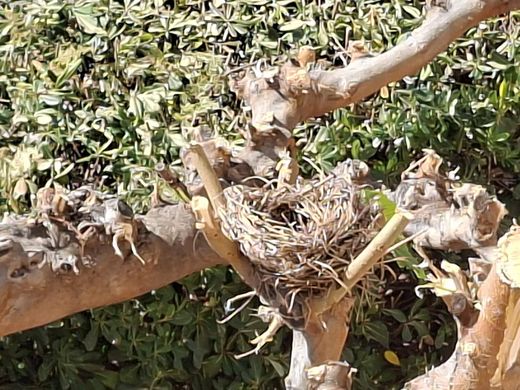 Luxury home in Benicassim, Castellon