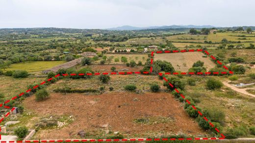 أرض ﻓﻲ Sant Llorenç des Cardassar, Illes Balears