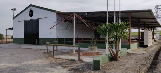 Rustico o Casale a Jerez de la Frontera, Cadice