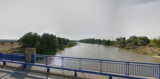 Grond in Novillas, Provincia de Zaragoza