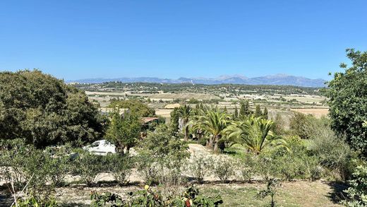 Lloret de Vistalegre, Illes Balearsの高級住宅