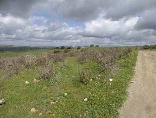 Terrain à Arcos de la Frontera, Cadix