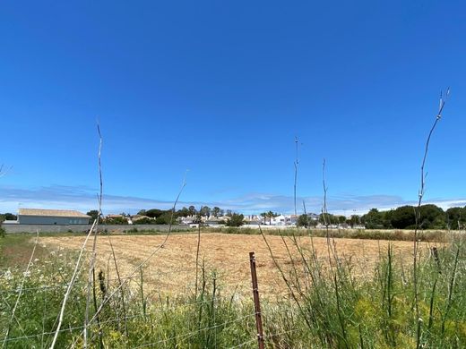 Terreno - Chiclana de la Frontera, Provincia de Cádiz