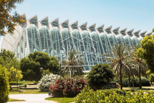 阁楼  巴倫西亞, Província de València