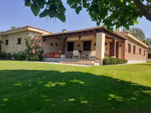 Detached House in Villamayor, Salamanca