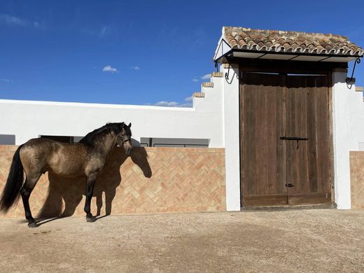 ‏בתים כפריים או חוות ב  Paterna del Campo, Provincia de Huelva
