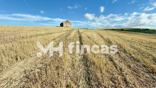 Grond in Utrera, Provincia de Sevilla