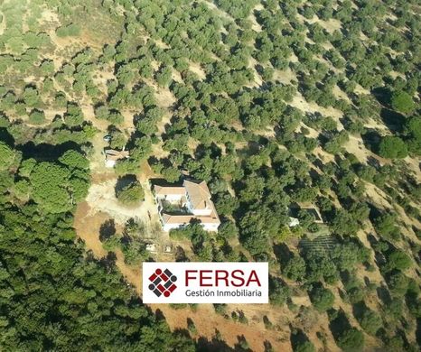 Maison individuelle à Arcos de la Frontera, Cadix