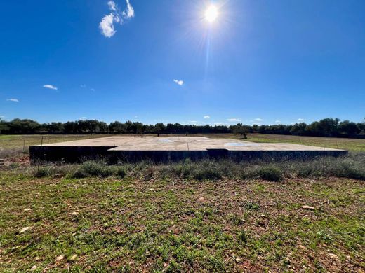 Land in Campos, Province of Balearic Islands