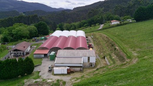 Terreno a Bakio, Bizkaia