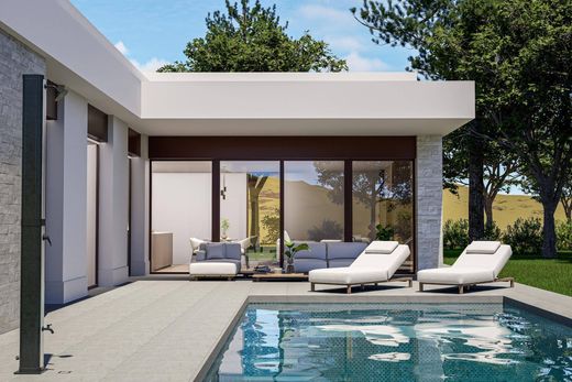 Villa in Pinoso, Alicante