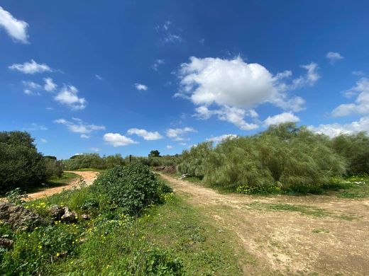 토지 / El Puerto de Santa María, Provincia de Cádiz