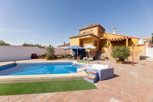 Detached House in Albolote, Granada