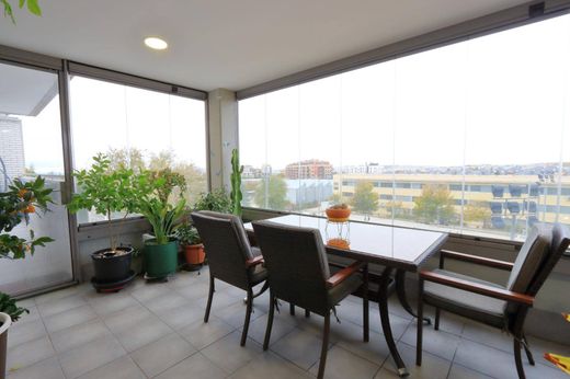 Daire Rivas-Vaciamadrid, Provincia de Madrid