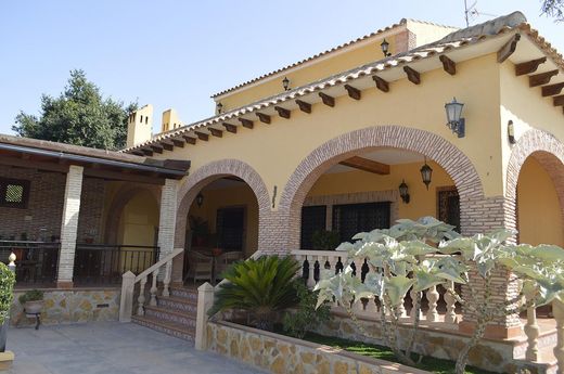 Rural or Farmhouse in Bigastro, Province of Alicante