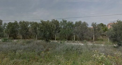 Terreno a Mutxamel, Provincia de Alicante