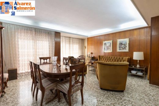 Apartment in Granada, Andalusia