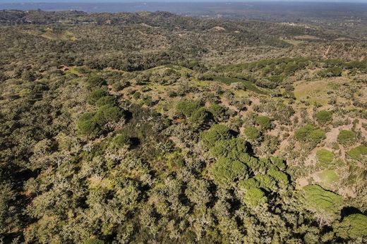 Land in Grândola, Distrito de Setúbal