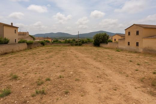 Terreno - Santa Maria del Camí, Ilhas Baleares