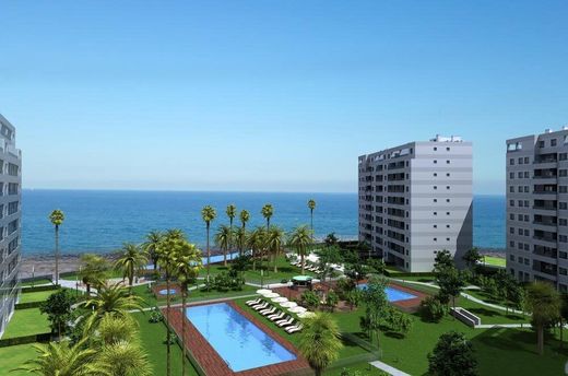 Cobertura - Playas de Orihuela, Provincia de Alicante