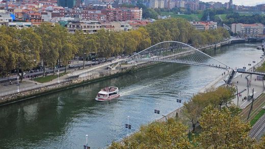 Apartment in Bilbao, Biscay