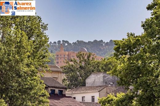 Granada, グラナダのアパートメント