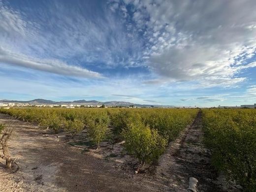Terreno en San Isidro, Provincia de Alicante