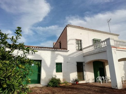 Сельский Дом, Монкада, Província de València