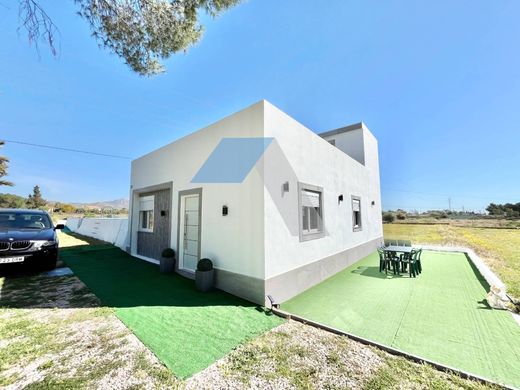Maison individuelle à San Vicent del Raspeig, Alicante