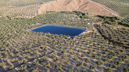 Grond in Jaén, Provincia de Jaén