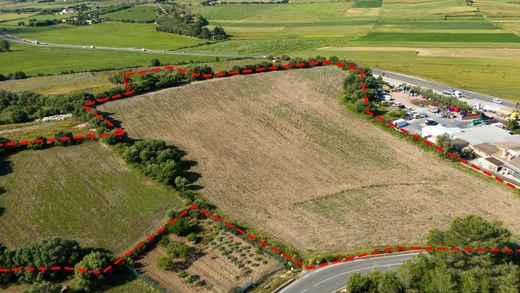 Ariany, Illes Balearsの土地