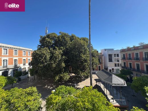 Luxus-Haus in Jerez de la Frontera, Cádiz