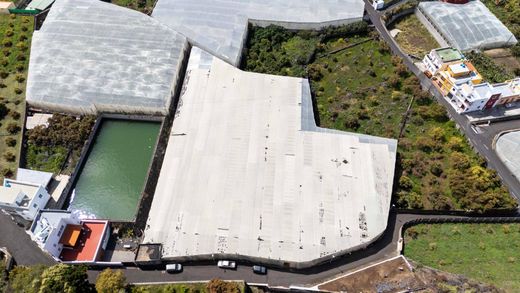 Land in Los Llanos de Aridane, Province of Santa Cruz de Tenerife
