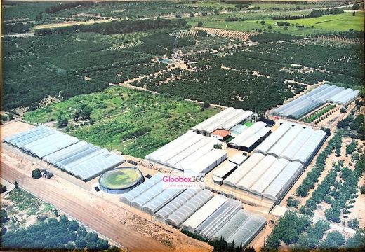 Land in Riudoms, Province of Tarragona