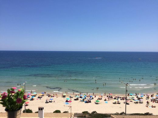 아파트 / Pilar de la Horadada, Provincia de Alicante